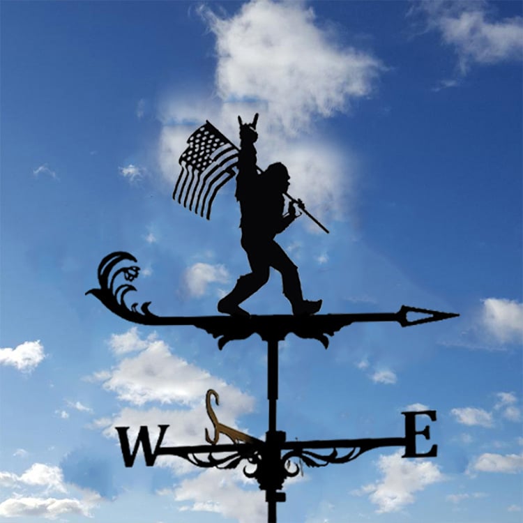 🔥LAST Sale 70% OFF - 🏠High Quality Stainless Steel Weather Vane