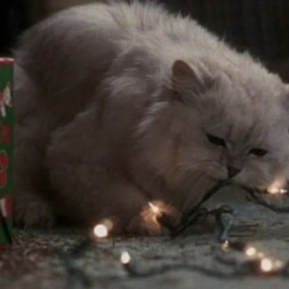 Fried Cat Rug - Funny Christmas Gift