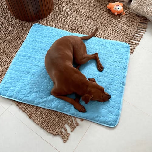 🔥 Hot Sale 49% OFF - Dog Cooling Mat (4x more effective)