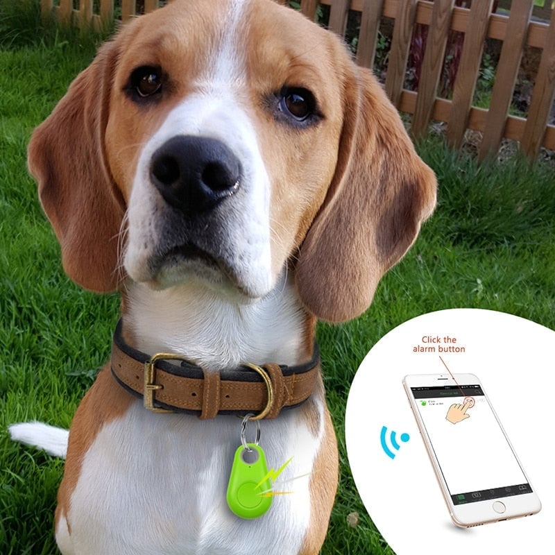 🔥Bluetooth and GPS Pet Wireless Tracker🔥