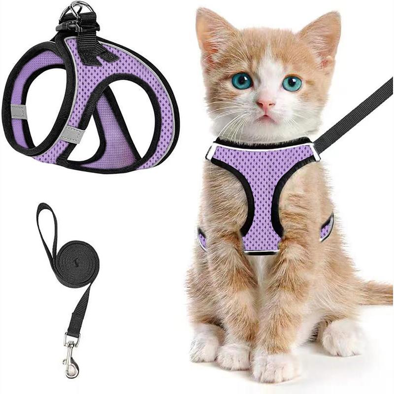 Adjustable Pet Harness & Leash Set