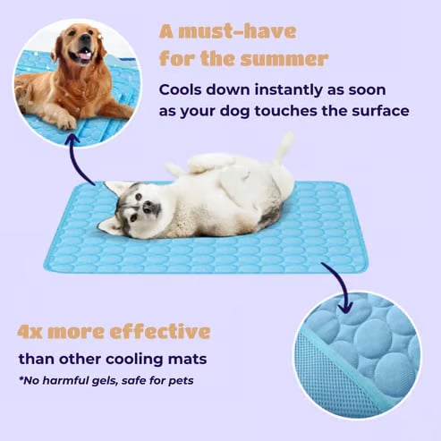 🔥 Hot Sale 49% OFF - Dog Cooling Mat (4x more effective)