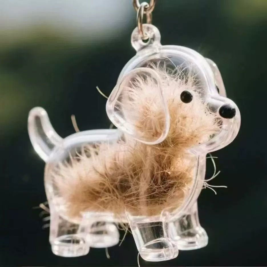 🐶🐱Newest Creative Transparent Dog/Cat Hair Collection Container Keychain